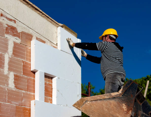 Best Spray Foam Insulation in Fisher, IL