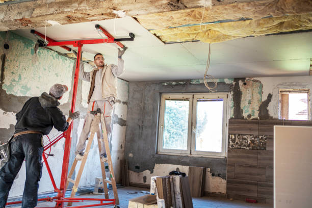 Best Geographic-Specific Insulation Services in Fisher, IL