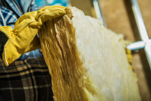 Best DIY Insulation Kits and Guidance in Fisher, IL