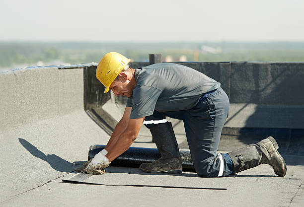 Best Cellulose Insulation in Fisher, IL