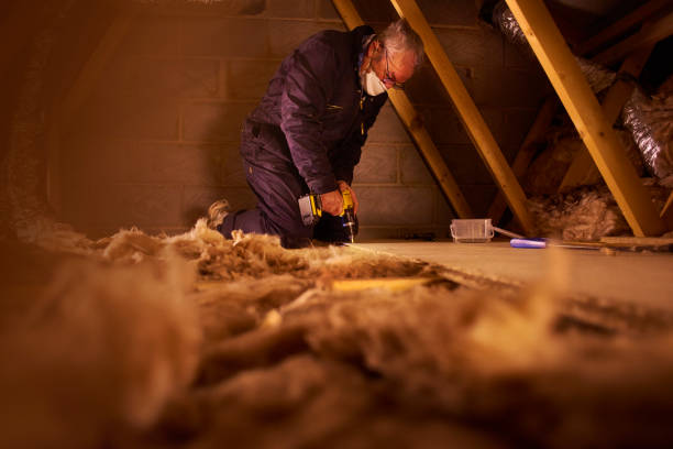 Best Insulation Maintenance and Repair in Fisher, IL